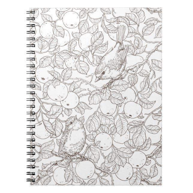 Caderno Espiral Rouxinóis na macieira/âmbar e branco (Frente)
