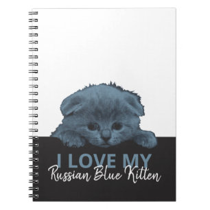 Caderno Espiral Russo Blue Kitten