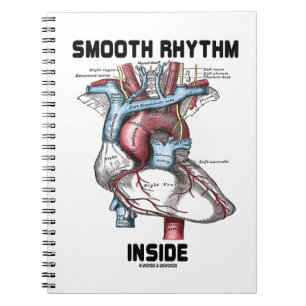 Caderno Espiral Rutmo Suave Dentro Coração Anatômico Médico