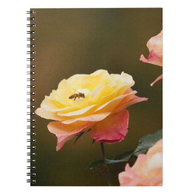 Caderno Espiral Saco Rose e Abelha (Frente)