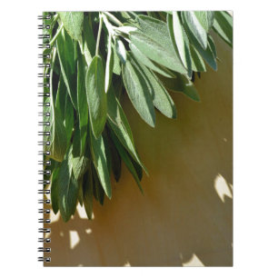 Caderno Espiral Sage fresco