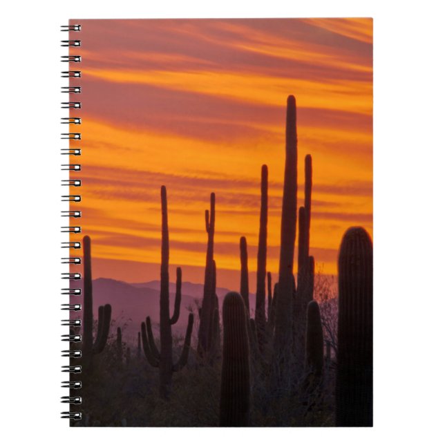 Caderno Espiral Saguaro, pôr do sol, Parque Nacional Saguaro (Frente)