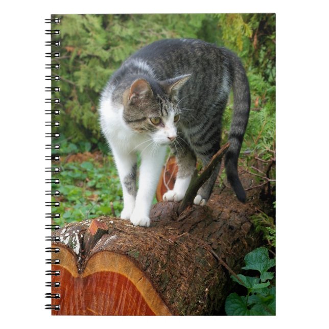 Caderno Espiral Saída em uma caminhada de gatos - Notebook de Gati (Frente)