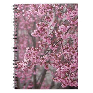 Caderno Espiral Sakura Cherry Blossoms Flores Rosa