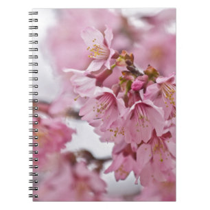 Caderno Espiral Sakura Cherry Blossoms Rosa Pálido