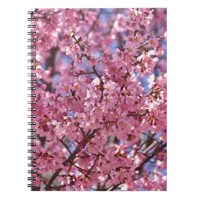 Caderno Espiral Sakura Pink Chersom Sky (Frente)