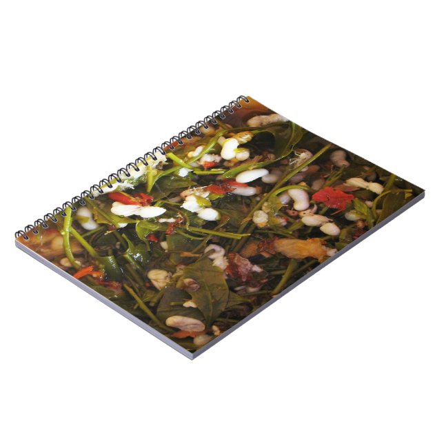 Caderno Espiral Salada de Ovos de Formigas Vermelhas ... Comida da (Left Side)