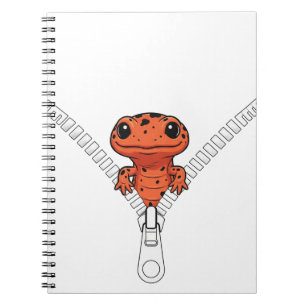 Caderno Espiral Salamandra Engraçada Espiando