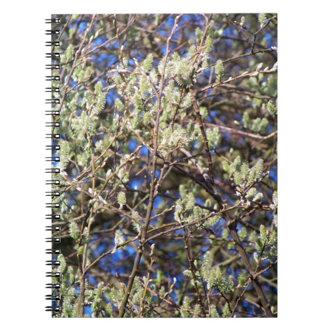 CADERNO ESPIRAL SALGUEIRO DE PRIMAVERA (Frente)