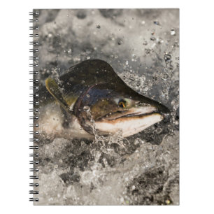 Caderno Espiral Salmão de Salmão