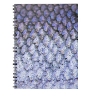 Caderno Espiral Salmão Shimmering