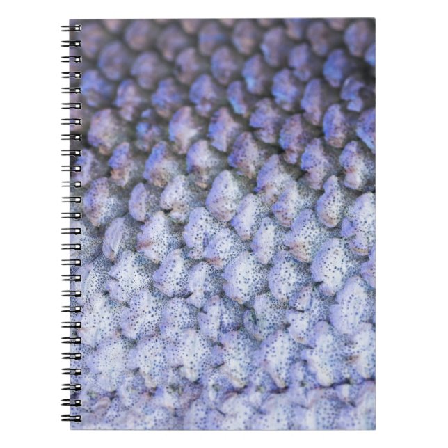 Caderno Espiral Salmão Shimmering (Frente)