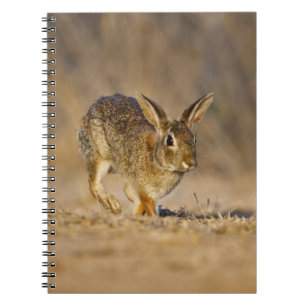 Caderno Espiral Salto de coelho-do-campo