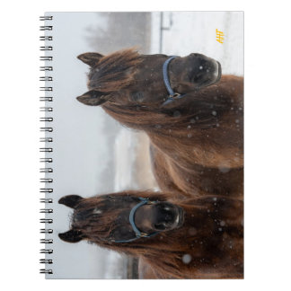 Caderno Espiral Salvamento em cavalos AHT