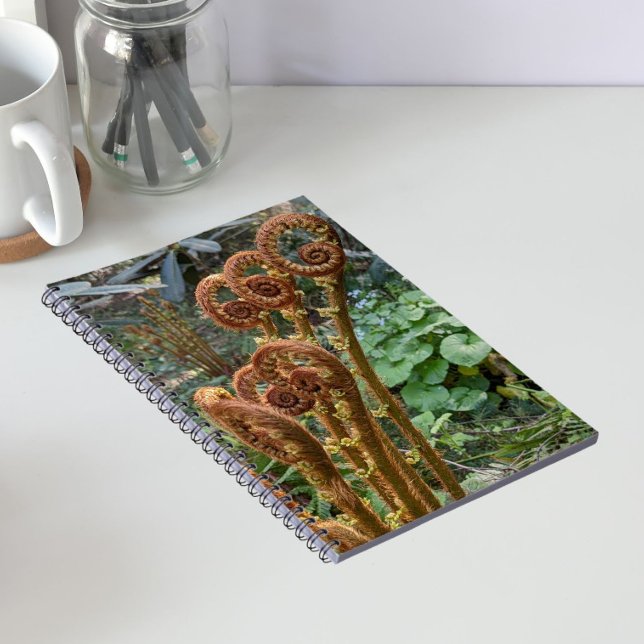 Caderno Espiral Samambaia Fiddleheads Botânico (In Situ)