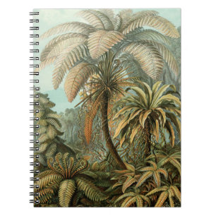 Caderno Espiral Samambaia Palmeira Antiga Arte Botânica de Samamba