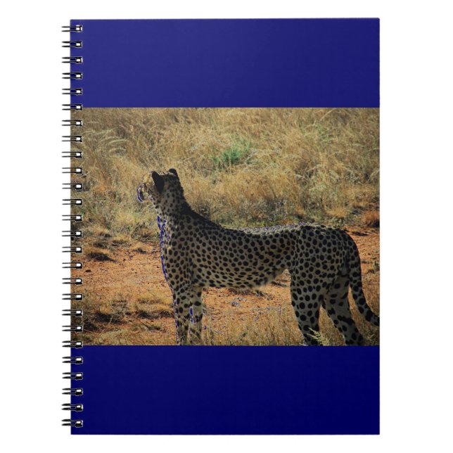 Caderno Espiral Samburu Cheetah (Frente)