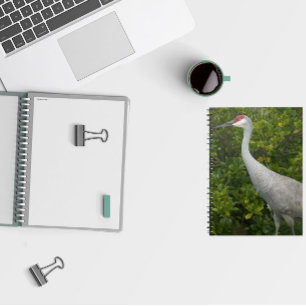 Caderno Espiral Sandhill Crane Bird Green deixa foto