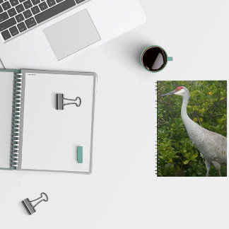 Caderno Espiral Sandhill Crane Bird Green deixa foto