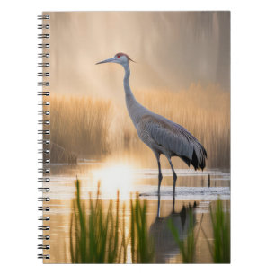 Caderno Espiral Sandhill Crane Nas Zonas Úmidas