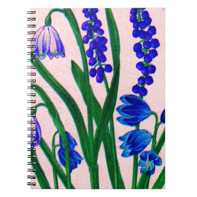 Caderno Espiral sanfona e cinza (Frente)