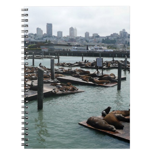 Caderno Espiral São Francisco e Pier 39 Sea Lions City Skyline (Frente)