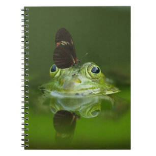 Caderno Espiral Sapo bonito com borboleta no nariz