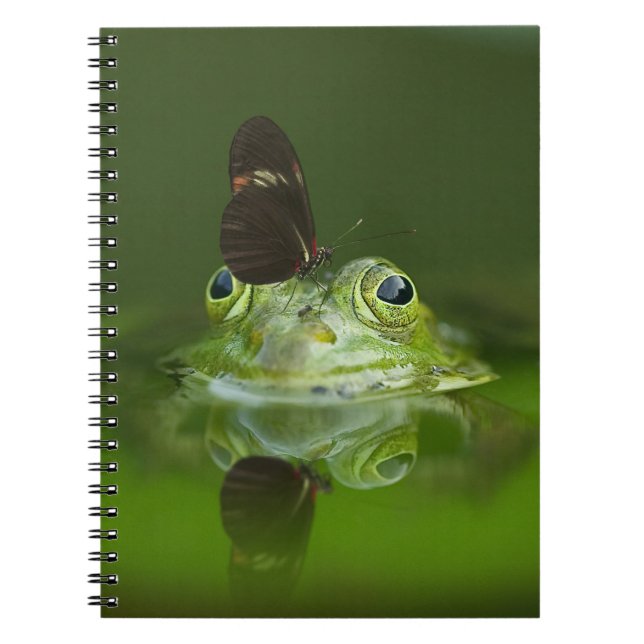 Caderno Espiral Sapo bonito com borboleta no nariz (Frente)