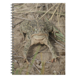 Caderno Espiral Sapo da pradaria R10