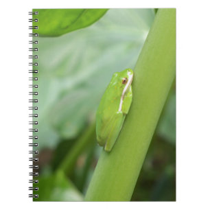 Caderno Espiral sapo de árvore verde com sono