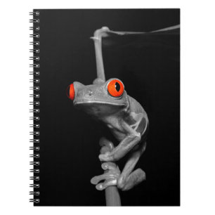 Caderno Espiral Sapo de Árvore Vermelha