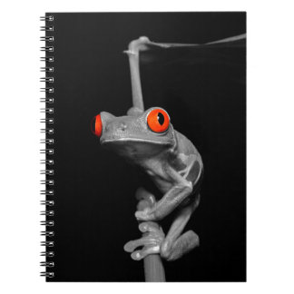 Caderno Espiral Sapo de Árvore Vermelha