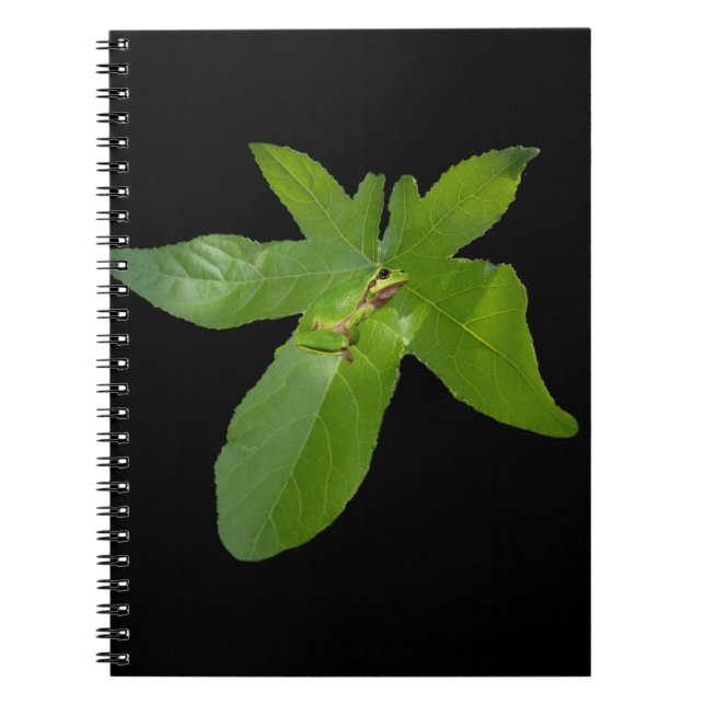 Caderno Espiral Sapo de folha de vidro verde, notebook (Frente)