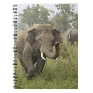 Caderno Espiral Saudação de Elefante Asiático Indiano