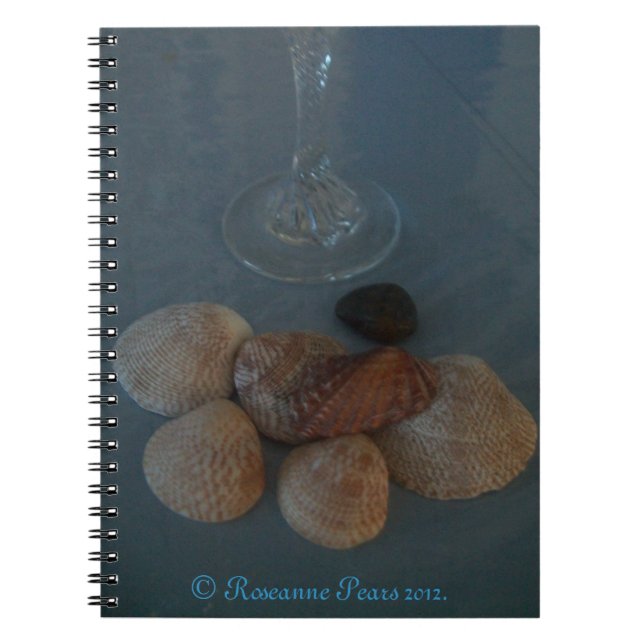 Caderno Espiral SDCs de notebook (Flute&Shells) ©️ 2012 (Frente)
