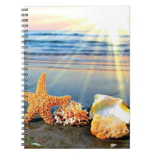 Caderno Espiral Sea shells and starfish on beach