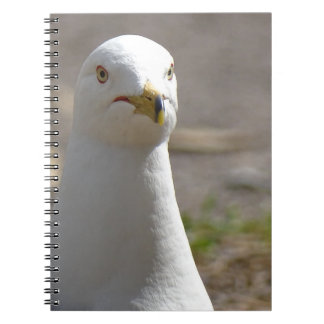Caderno Espiral Seagull