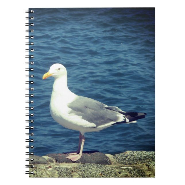 Caderno Espiral Seagull No Compartimento (Frente)