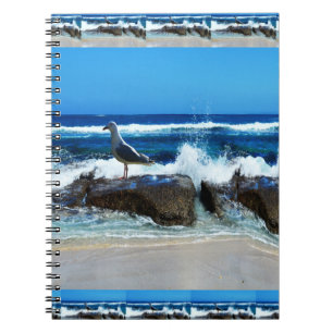 Caderno Espiral Seagull On Beach Rocks,