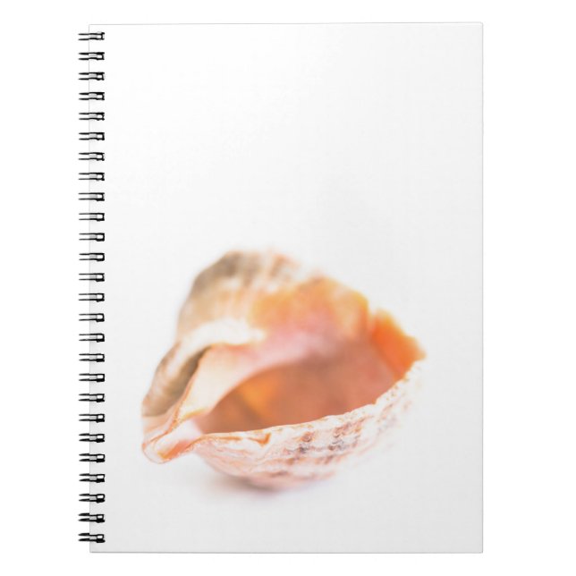 Caderno Espiral Seashell (Frente)