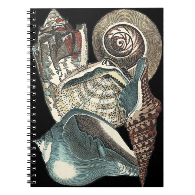 Caderno Espiral Seashell Anthology (Frente)