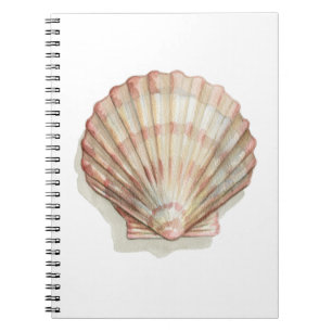 Caderno Espiral Seashell Rosa e Cream