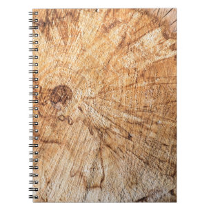 Caderno Espiral Seção transversal da macieira (Malus)abstrato, b