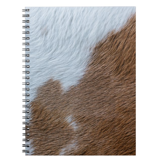 Caderno Espiral Século Médio (Frente)