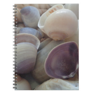 Caderno Espiral Sedreiros Sunny Summer, Sea Shell Beach Ocean