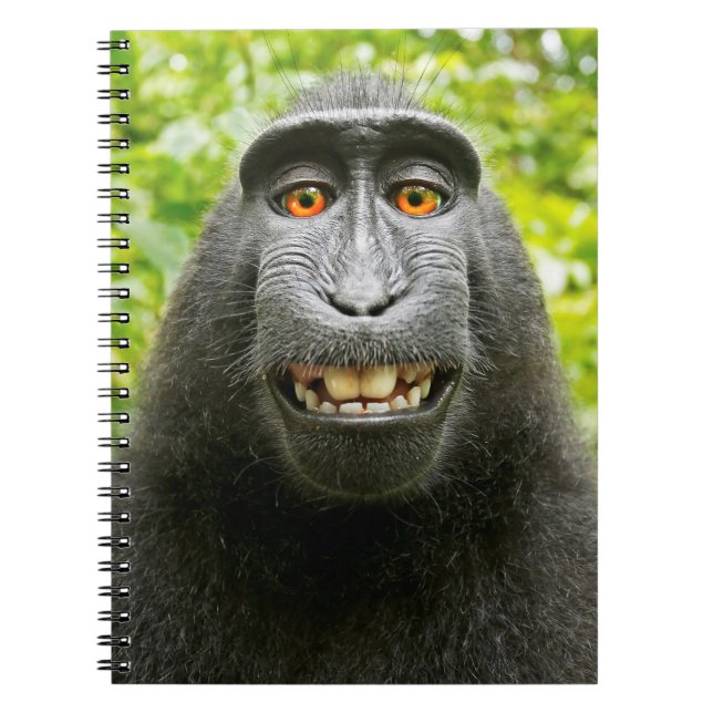 Caderno Espiral Selfie de Macaco (Frente)