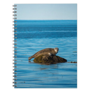 Caderno Espiral Selo do Porto Atlântico