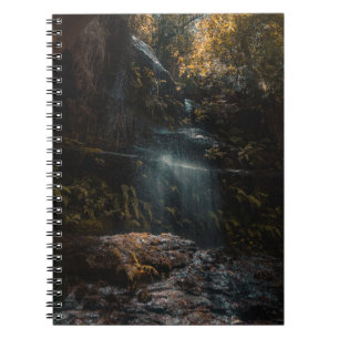Caderno Espiral Selva
