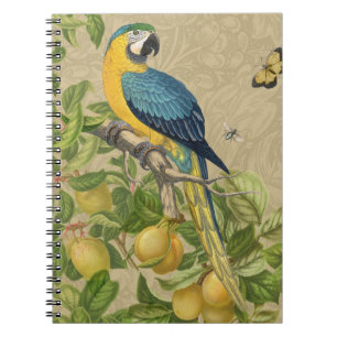 Caderno Espiral Selva Tropical Amarela Macaw Antiguidade