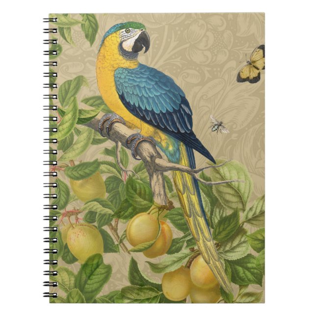Caderno Espiral Selva Tropical Amarela Macaw Antiguidade (Frente)